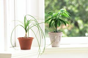 センスの良いコードレステーブルランプ