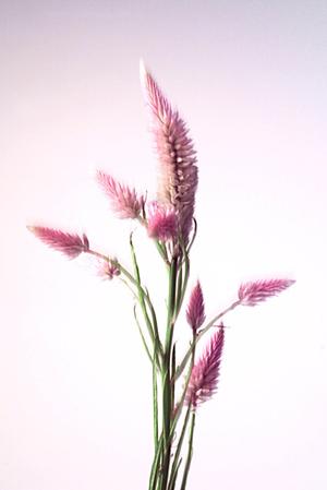 快適空間にオシャレと機能性をプラス