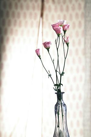 メールマガジンを発行している魅力的なサイト