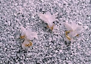 埼玉県さいたま市にあるタカラスタンダードのショールーム：最新設備と地域密着型のサービスで理想の住空間を実現