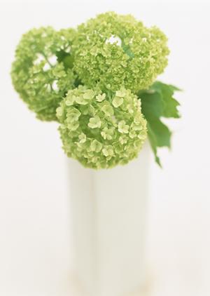 リバーシブルの2層コイルマットレス