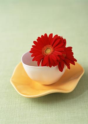 変わる生活、家具もリメイクの時代